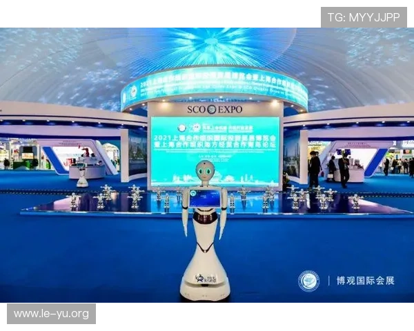 时博体育会员登录入口，安全稳定的登录平台操作指南